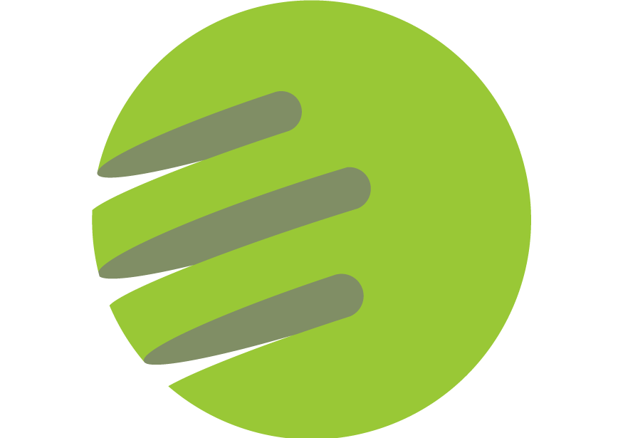 logo EFORT